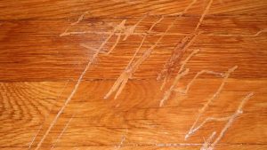 scratches on wood floors