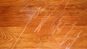 scratches on wood floors