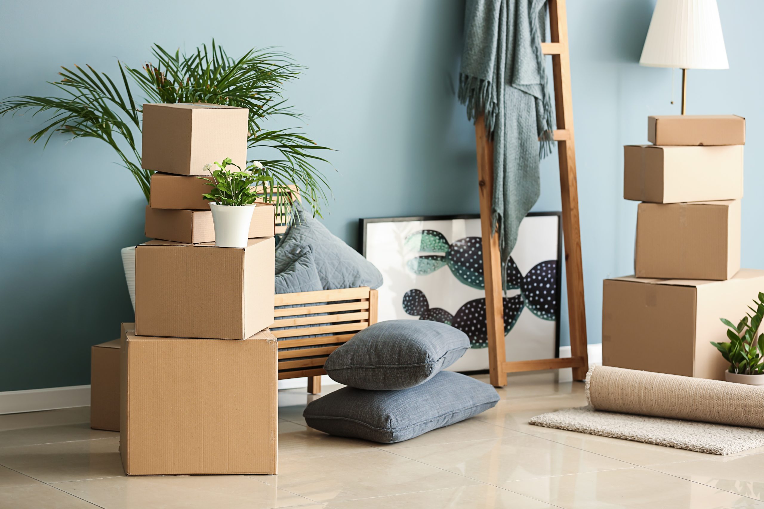 Plants are restricted moving items. boxes and plants shown